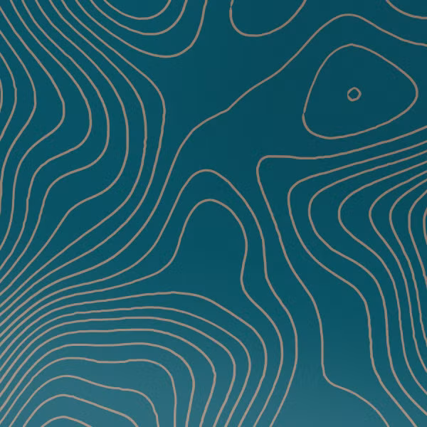 imoshion Design hoesje Apple iPhone 16 - Topo Turquoise