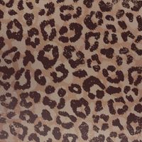 imoshion  Design hoesje iPhone 12 (Pro) - Leopard Mood