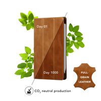 dbramante1928 Risskov Case Apple iPad Pro 11 (2024) M4 - Tan