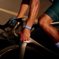Google Performance Loop Band Fitbit Air - Lavender
