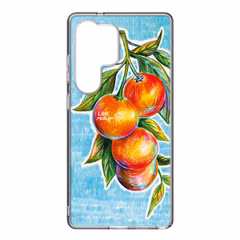 Samsung Hybrid Case Samsung Galaxy S25 Ultra - Lieve Merlijn / Mandarin
