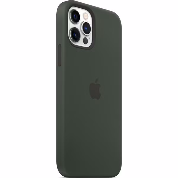Apple Silicone Backcover MagSafe Apple iPhone 12 (Pro) - Cypress Green