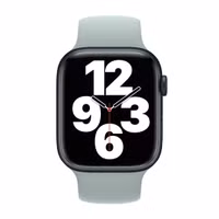 Apple Siliconen solobandje Apple Watch | 38/40/41/42 mm - Maat 3 - Succulent