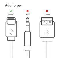 Accezz Oordopjes - Bedrade oordopjes - USB-C aansluiting - Zwart