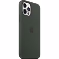 Apple Silicone Backcover MagSafe Apple iPhone 12 (Pro) - Cypress Green