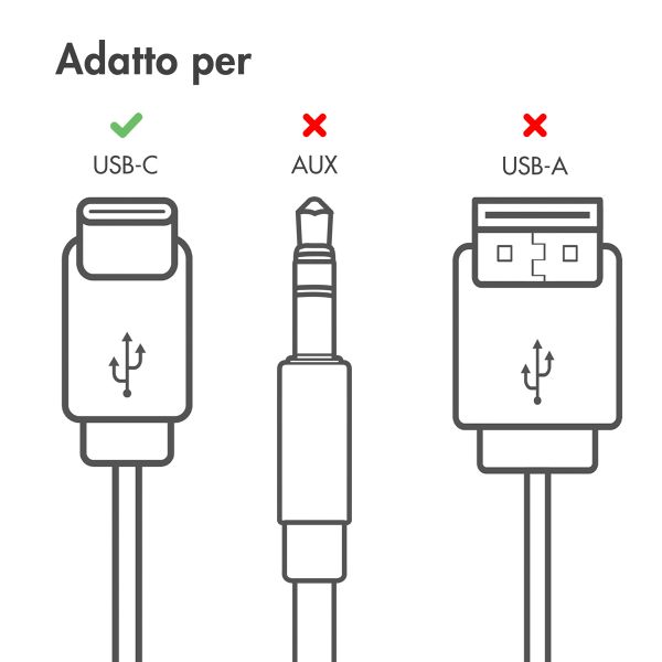 Accezz Oordopjes - Bedrade oordopjes - USB-C aansluiting - Zwart