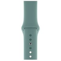 Apple Sport Band Apple Watch Series 1 t/m 11 / SE / Ultra (44/45/46/49 mm) - Cactus