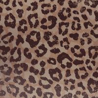 imoshion Design hoesje Apple iPhone 12 (Pro) - Leopard Mood