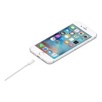 Apple Lightning naar USB-A kabel - 2 meter - White