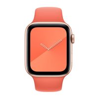 Apple Sport Band Apple Watch | 38/40/41/42 mm - Maat S/M - Clementine