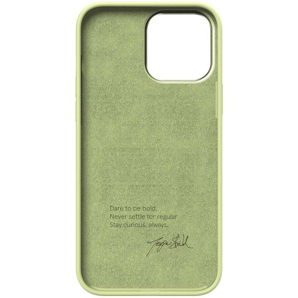 Nudient Bold Case iPhone 13 Pro Max - Leafy Green