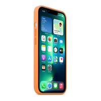 194252780978_usp_x_1