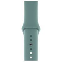 Apple Sport Band Apple Watch Series 1-9 / SE - 38/40/41 mm / Series 10 - 42 mm - Cactus