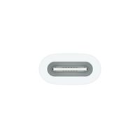 Apple USB-C naar Apple Pencil Adapter