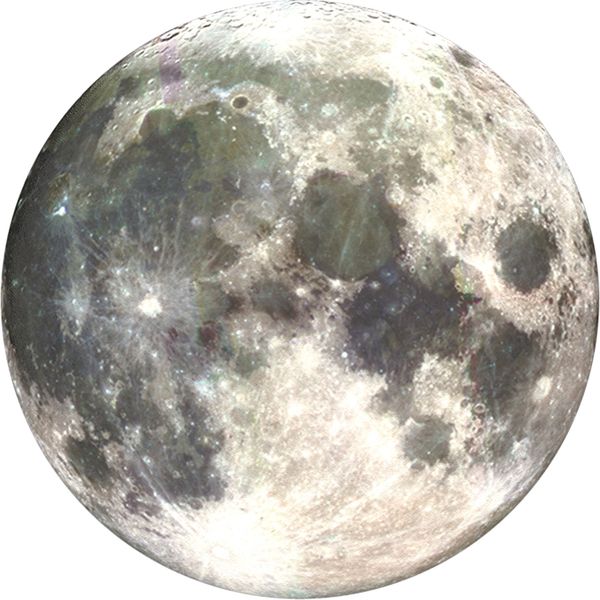 PopSockets PopGrip - Afneembaar - Moon