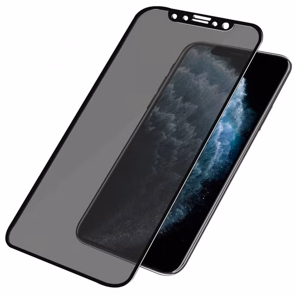 PanzerGlass Case Friendly Privacy Anti-Bacterial Screenprotector iPhone 11 Pro / Xs / X