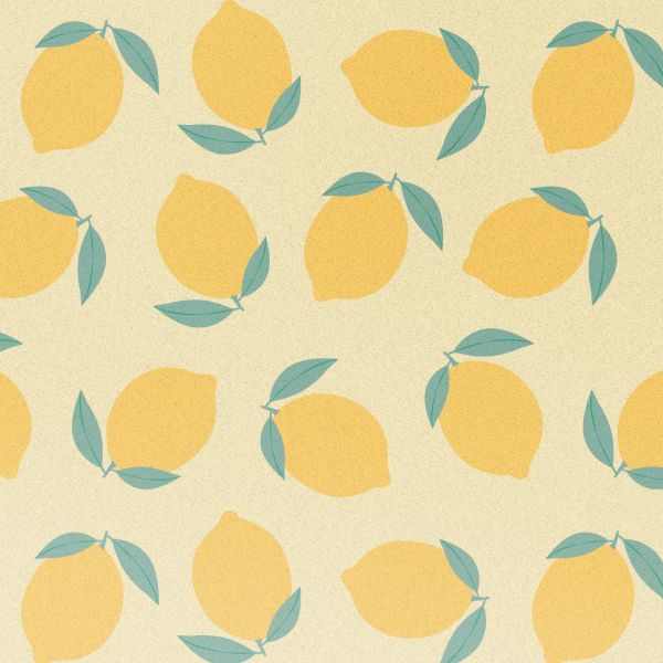 imoshion Design hoesje Samsung Galaxy S24 FE - Citrus Dream