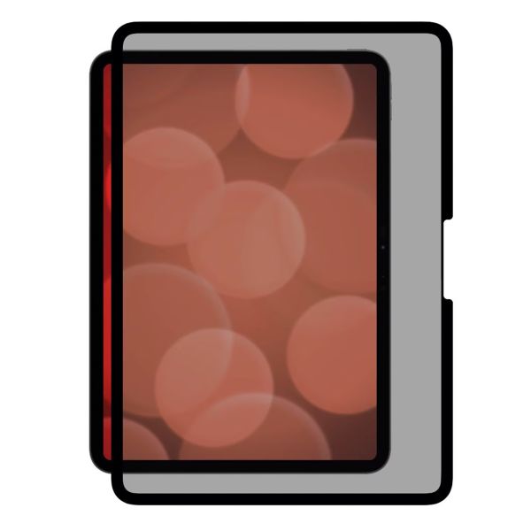 Displex Privacy Screenprotector Apple iPad Pro 11 (2025) M5 / (2024) M4