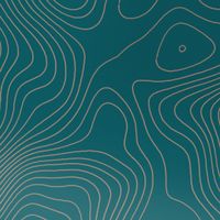 imoshion Design hoesje Apple iPhone 16 - Topo Turquoise