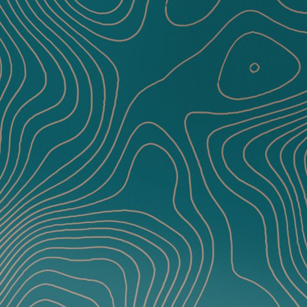 imoshion Design hoesje Apple iPhone 14 - Topo Turquoise