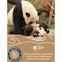 Planet Buddies Kids draadloze koptelefoon - Panda