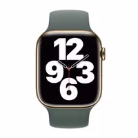 Apple Siliconen solobandje Apple Watch | 38/40/41/42 mm - Maat 4 - Eucalyptus