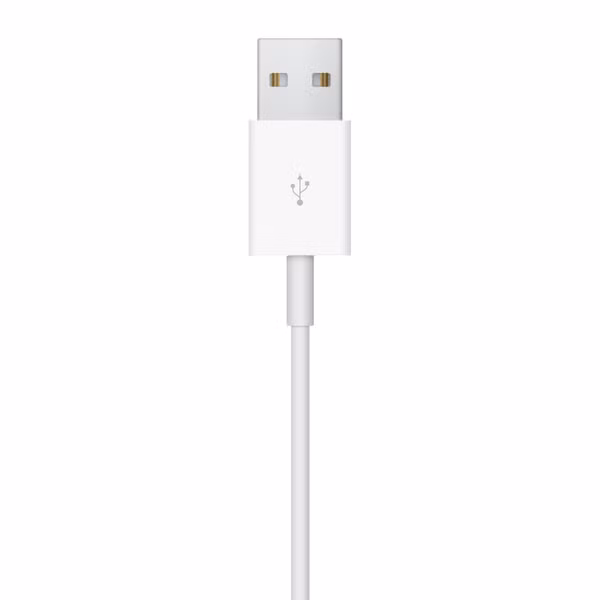 Apple Magnetic Charging Cable Apple Watch - 1 meter - USB-A - Wit