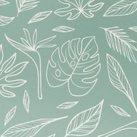 imoshion Design hoesje Apple iPhone 14 - Leaves Line-Art