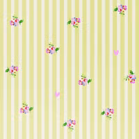 imoshion Design hoesje Samsung Galaxy S25 FE - Garden Stripes