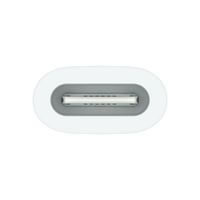 Apple USB-C naar Apple Pencil Adapter - Wit
