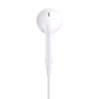 Apple EarPods USB-C - Wit